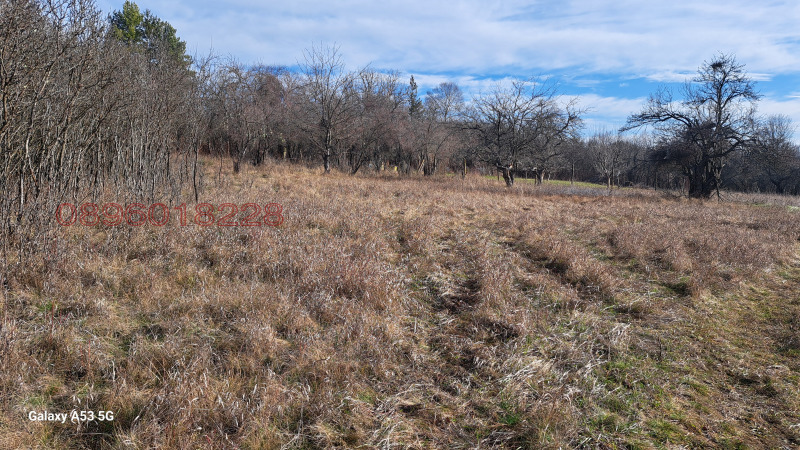 Продава ПАРЦЕЛ, с. Егълница, област Перник, снимка 2 - Парцели - 53218546