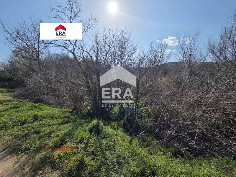 Продава ПАРЦЕЛ, с. Зелендол, област Благоевград, снимка 2 - Парцели - 54026342