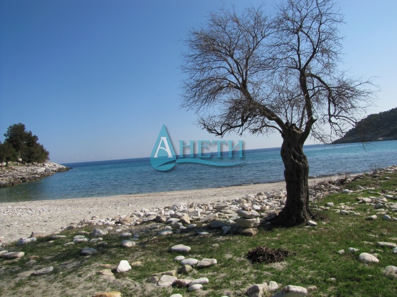 Продава ПАРЦЕЛ | Imot.bg — изображение 1