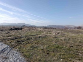 ����� ������� ������,�. ���������, ������ �����