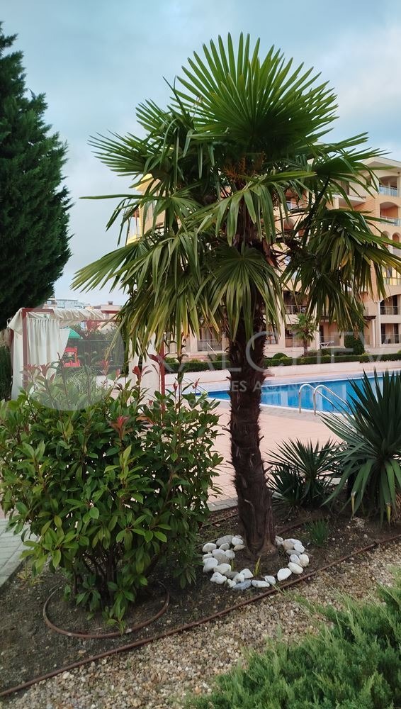 À vendre  1 chambre Varna , k.k. Sv.Sv. Konstantin i Elena , 76 m² | 71848024 - image [16]