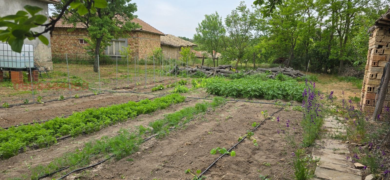 Продава КЪЩА, с. Златна нива, област Шумен, снимка 9 - Къщи - 54040687