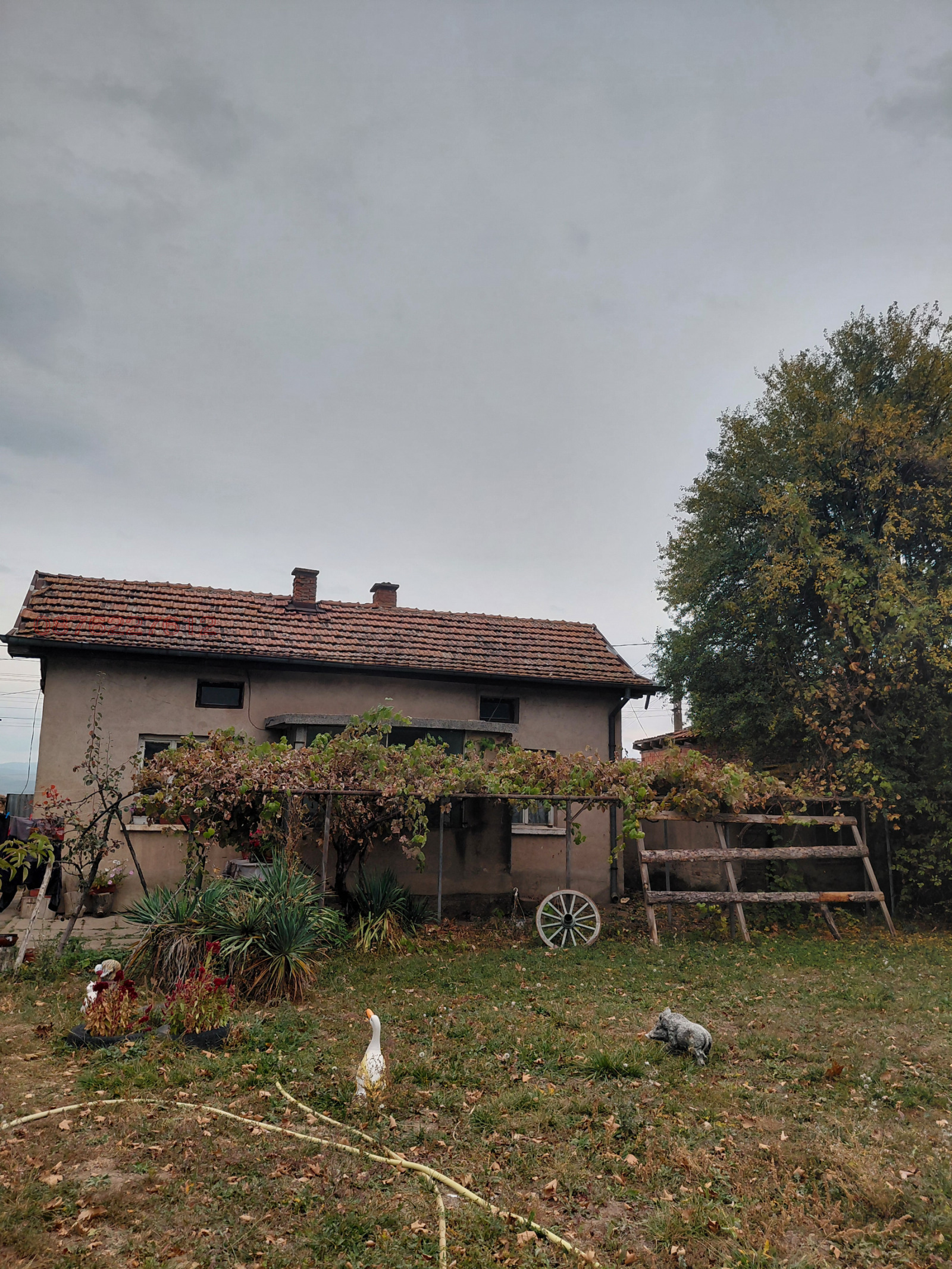 ������� ���� | Imot.bg � ����������� 1