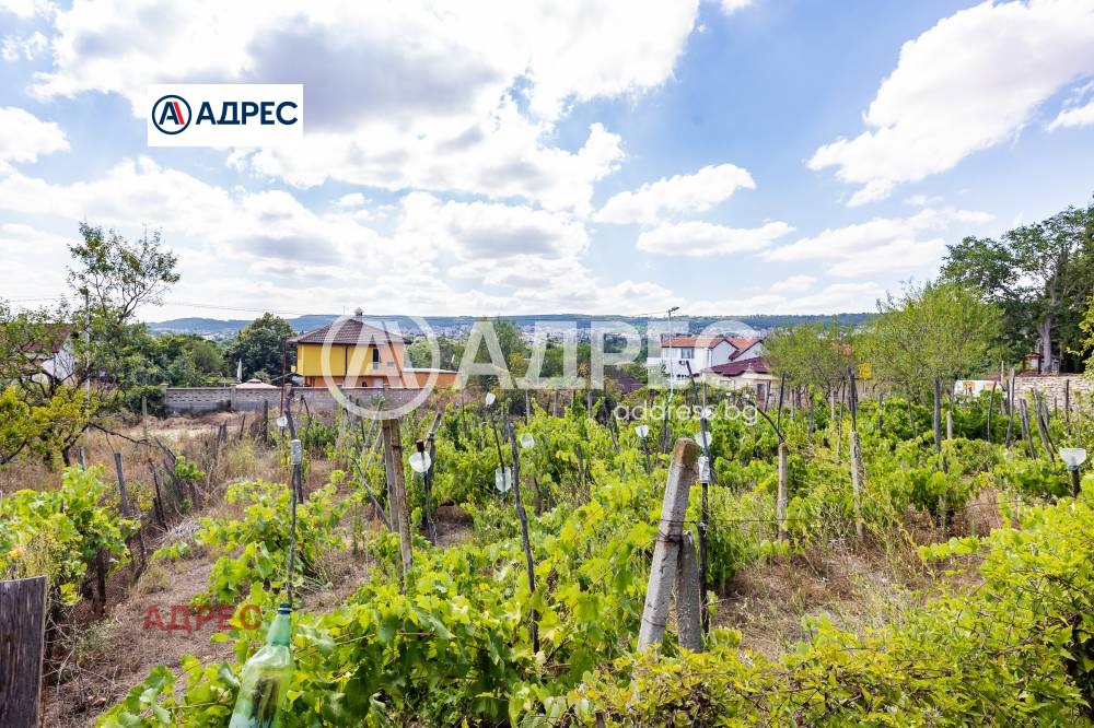 ������� ������ | Imot.bg � ����������� 7