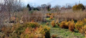 ������� ������ | Imot.bg � ����� ������ 2