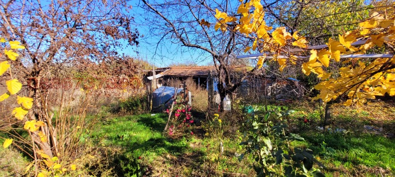 Продава КЪЩА, гр. Грамада, област Видин, снимка 4 - Къщи - 52782776