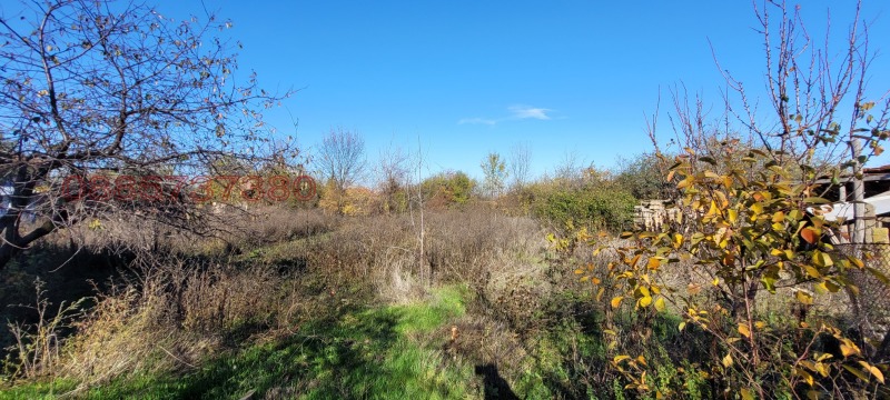 Продава КЪЩА, гр. Грамада, област Видин, снимка 7 - Къщи - 52782776