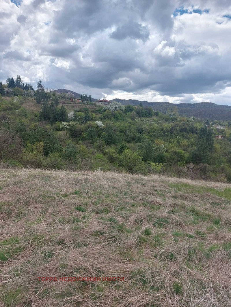 Продава ПАРЦЕЛ в град София, с. Клисура - 8011 кв.м / 208 286 € » 407 372.01 лв., ТЕРРА НЕДВИЖИМИ ИМОТИ