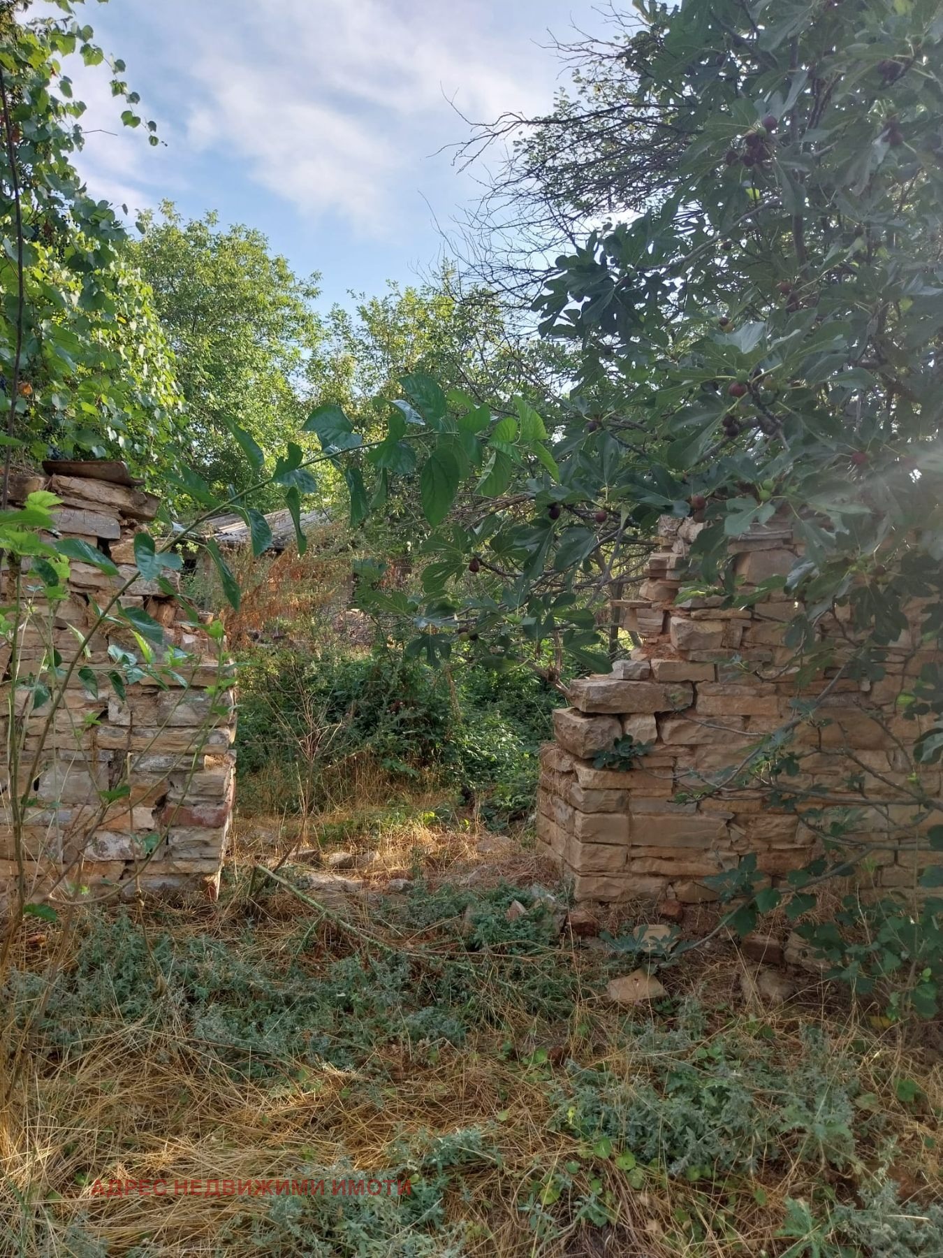 ������� ���� | Imot.bg � ����������� 4