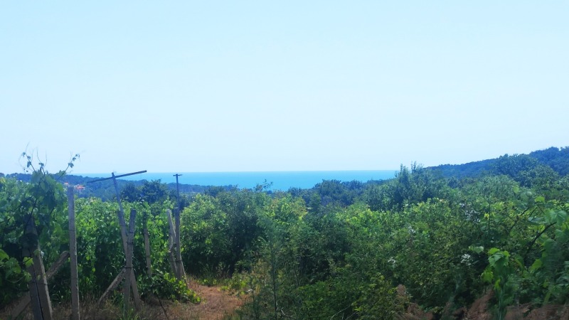 Na prodej  Spiknutí Varna , m-t Kantara , 2925 m2 | 91832774 - obraz [10]