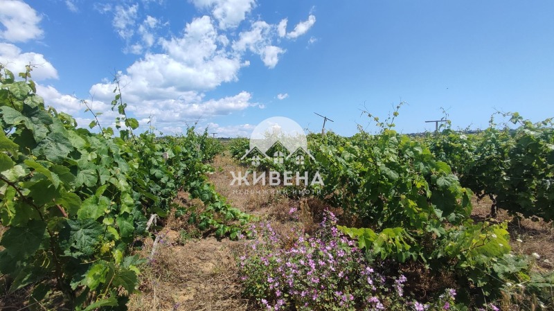 Na prodej  Spiknutí Varna , m-t Kantara , 2925 m2 | 91832774 - obraz [6]