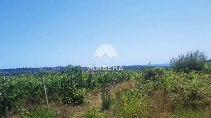 Na prodej  Spiknutí Varna , m-t Kantara , 2925 m2 | 91832774 - obraz [9]