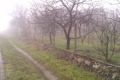 Продава ВИЛА, гр. Варна, м-т Перчемлията, снимка 11