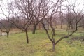 Продава ВИЛА, гр. Варна, м-т Перчемлията, снимка 4