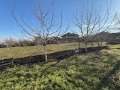 Продава КЪЩА, област Русе, с. Ценово • 16500 € • 87245674 — Holmes.bg