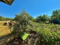 Продава КЪЩА, област Велико Търново, с. Страхилово • 25000 лв. • 43008337 — Holmes.bg