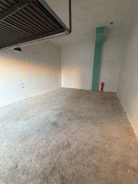 ����� ������� �����,���� �������, ����� �����