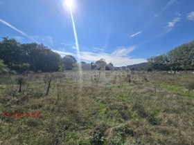 ������� ������ | Imot.bg � ����� ������ 6
