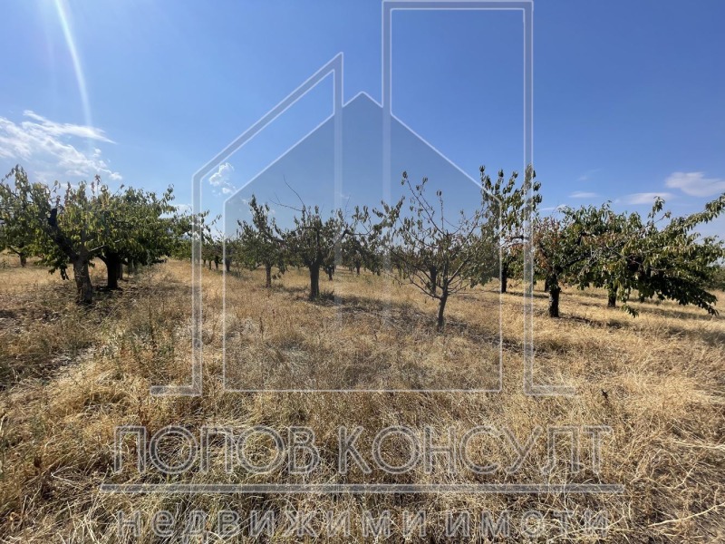 For Sale  Plot region Plovdiv , Brestnik , 8549 sq.m | 15338327 - image [2]