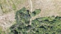 Продава  Парцел област Варна , с. Долище , 3343 кв.м | 58585500 - изображение [5]