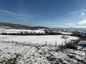 ����� ������� ������,�. �������, ������ �����������