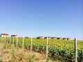 Продава ПАРЦЕЛ, гр. Поморие, област Бургас, снимка 1