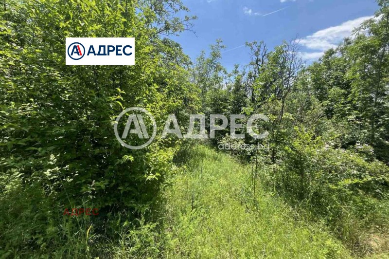 Продаја  Плот Варна , м-т Салзица , 760 м2 | 54720686 - слика [2]