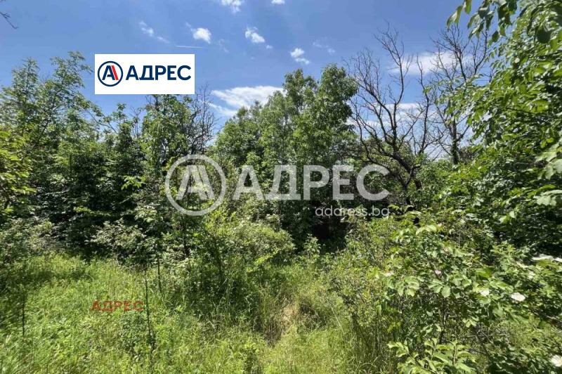 Продаја  Плот Варна , м-т Салзица , 760 м2 | 54720686 - слика [3]