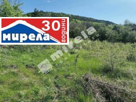Grund Debelets, region Veliko Tarnovo 1