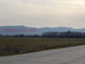 ������ ������� ������