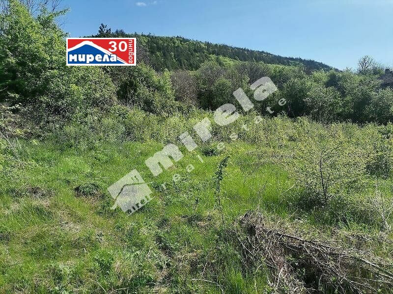 Til salg  Grund region Veliko Tarnovo , Debelets , 1600 kvm | 57550037