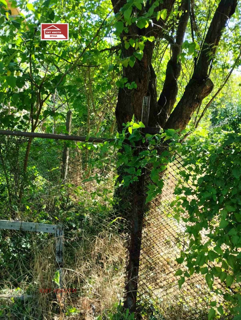 De vânzare  Complot regiunea Vratsa , Rebârcovo , 1000 mp | 24195357