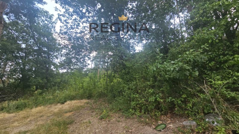 Продава  Парцел област Пловдив , с. Михилци , 900 кв.м | 52255967 - изображение [3]