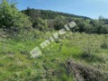 Продава ПАРЦЕЛ, област Велико Търново, гр. Дебелец • 38000 € • 68857414 — Holmes.bg