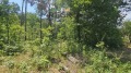 Продава ПАРЦЕЛ, област Пловдив, с. Михилци • 10000 лв. • 20322354 — Holmes.bg