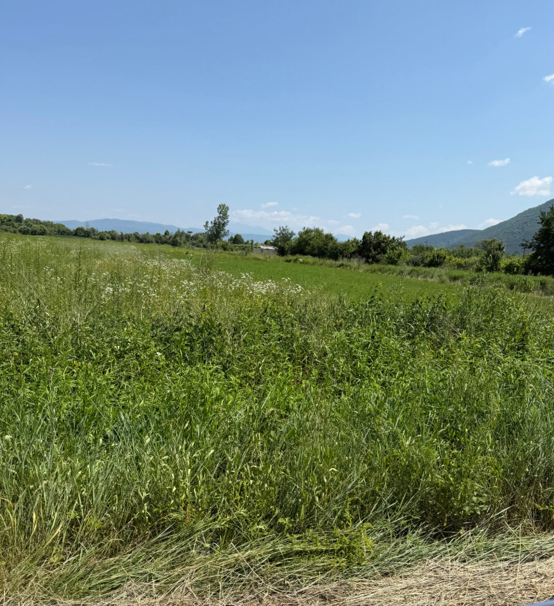 Προς πώληση  Οικόπεδο περιοχή Μπλαγκόεβγκραντ , Γοτσε Δελτσεβ , 2000 τ.μ | 55968859 - εικόνα [2]