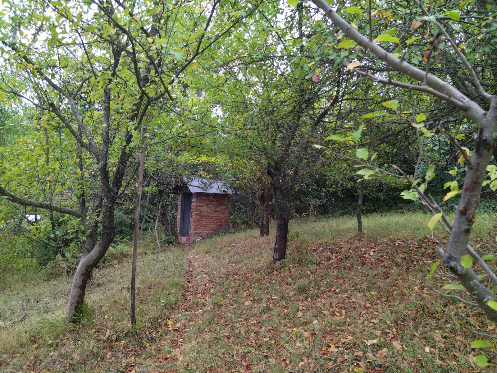Продава КЪЩА, с. Блатешница, област Перник, снимка 6 - Къщи - 56253466