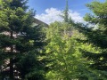 Продава 3-СТАЕН, гр. Стара Загора, Ремиза, снимка 9