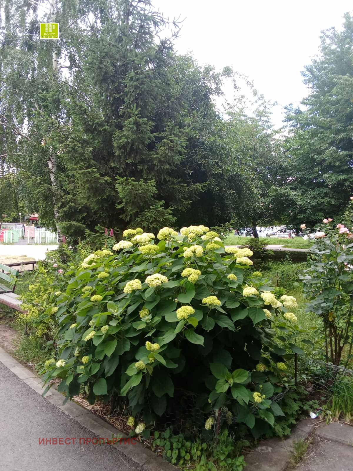 ������� 1-����� | Imot.bg � ����������� 17