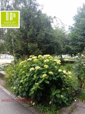 ������� 1-����� | Imot.bg � ����� ������ 17