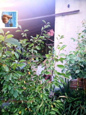 ������� ���� | Imot.bg � ����� ������ 5
