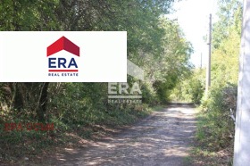 ����� ������� ������,���� �����, �.�. ����� ����