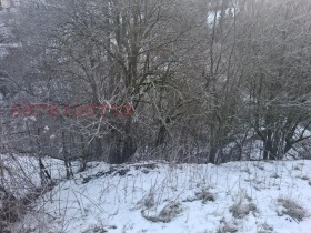 ������� ������ | Imot.bg � ����� ������ 3