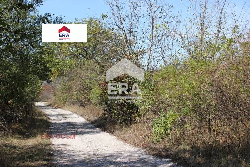 Продава ПАРЦЕЛ, гр. Ловеч, в.з. Синан тепе, снимка 2 - Парцели - 53679870