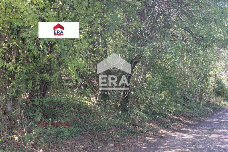 Продава ПАРЦЕЛ, гр. Ловеч, в.з. Синан тепе, снимка 2 - Парцели - 53562005