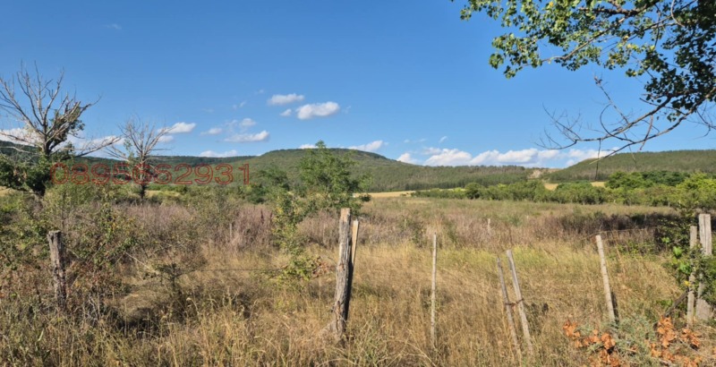 Продава ЗЕМЕДЕЛСКА ЗЕМЯ, с. Зайчино ореше, област Шумен