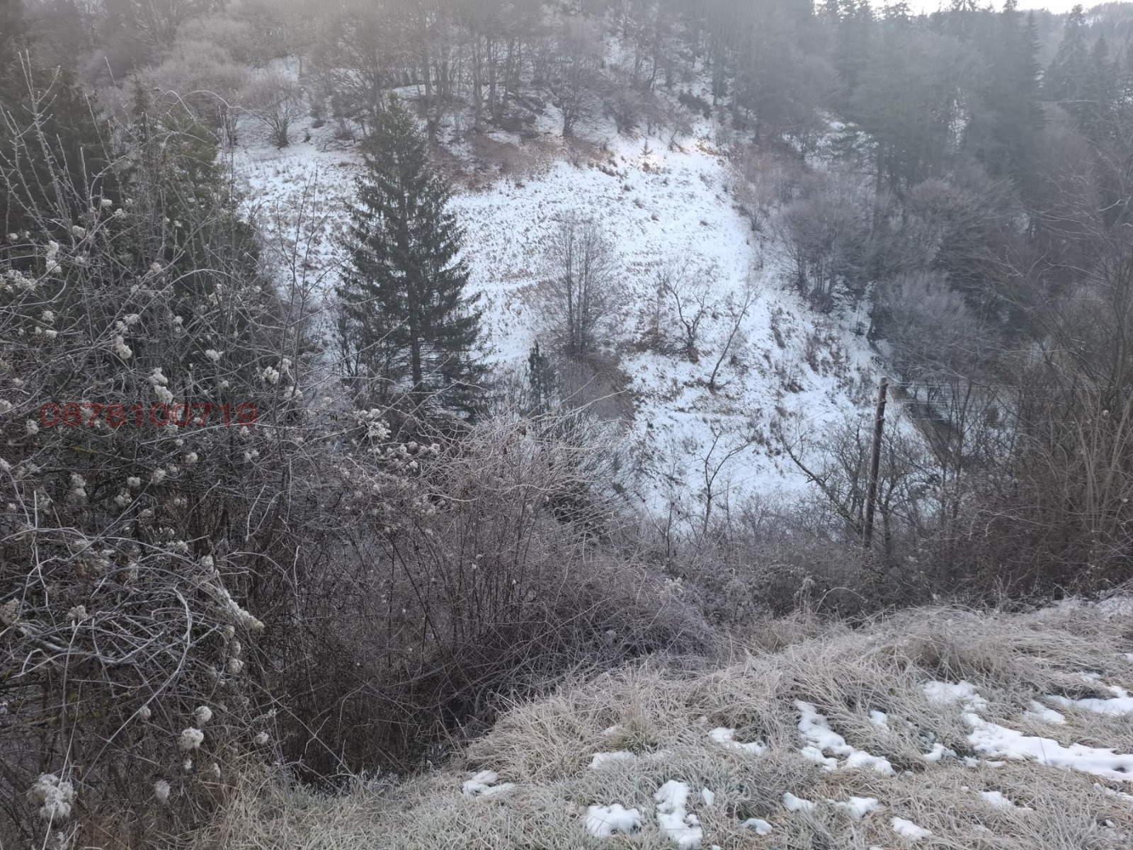 Продава ПАРЦЕЛ, с. Момчиловци, област Смолян, снимка 5 - Парцели - 53647325