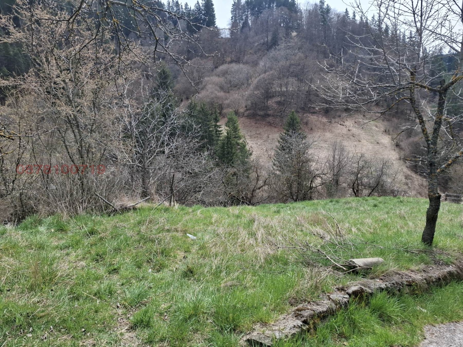 Продава ПАРЦЕЛ, с. Момчиловци, област Смолян, снимка 8 - Парцели - 54338031