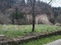 Продава ПАРЦЕЛ, с. Момчиловци, област Смолян, снимка 9