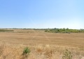 Продава ПАРЦЕЛ, област Бургас, с. Равда • 73000 € / 142775.59 лв. • 65207842 1